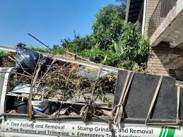 Best Estate Cleanout  in Lakeport, TX